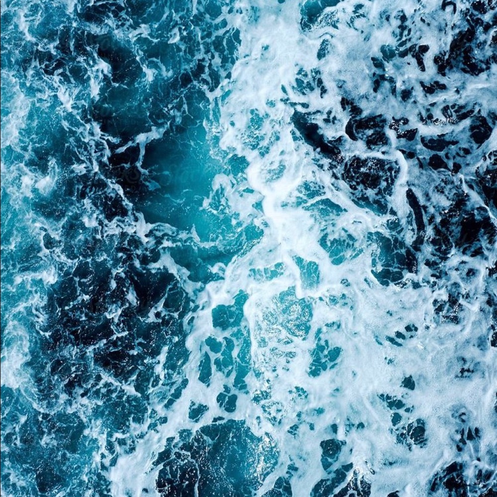 Meet your Posher, Tori